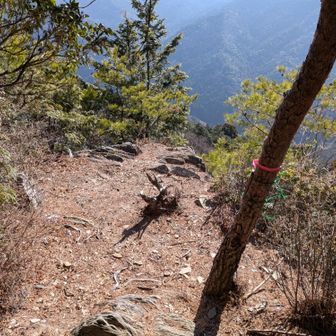 眺望のある場所。休憩します