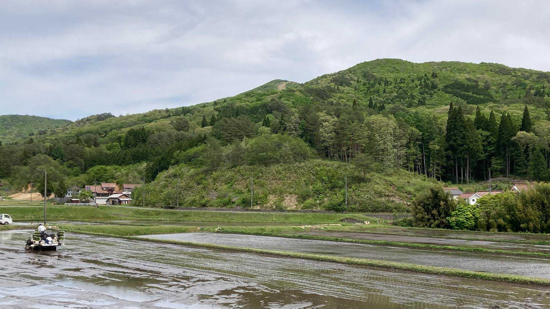 「ダッダッダッ」と田植機の音が里山に響きます(・ω・)ノ🌾