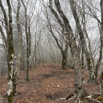 コースは、こんな感じです