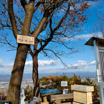 勇者様からこの位置からだとお山名と御嶽山が見えるから写真撮る事をススメられるが、御嶽山がドコにあるのか分からずここら辺を撮る😺