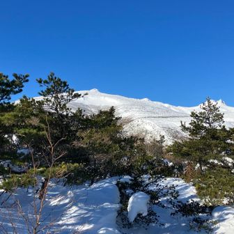 山頂が見えるが、中々近付かない。