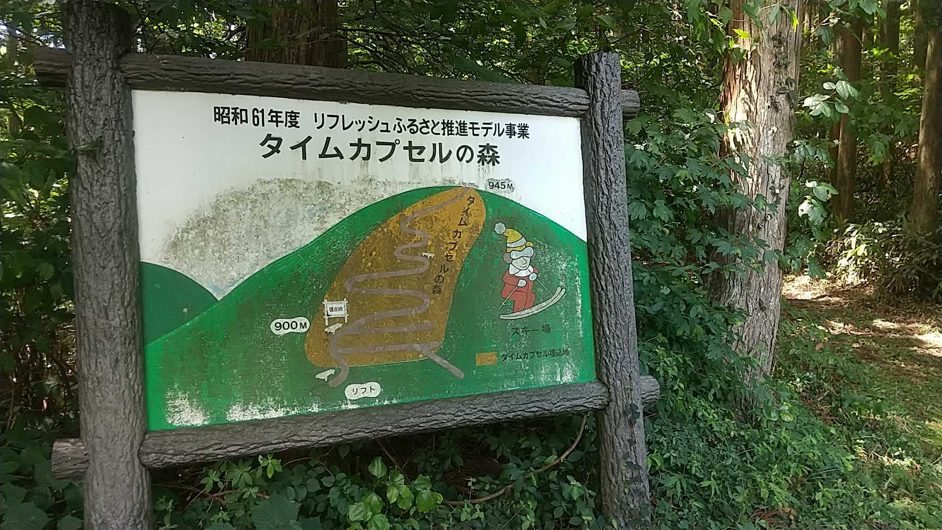 タイムカプセルの森。