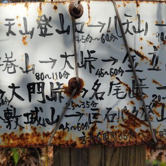 八天山〜金立山〜金敷城山〜巨石ﾊﾟｰ ｸ  へ