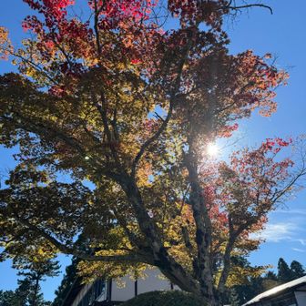 赤と青のコンストラスト🍁🏞