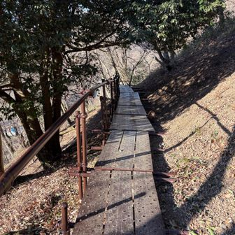 再開した登山道を有り難く進んでいきます👏
単管パイプと足場で作られた道