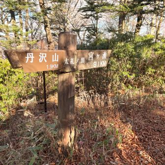 こういった「頭」がたくさん取れる