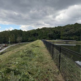 大池横
行きしなに見たらキレイに草刈っていただいていたのでここから降りました。

おつかれ山でした⛰️