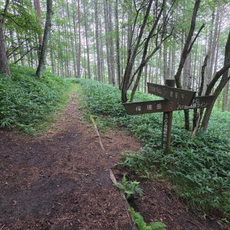 左折していよいよ登り開始

ちょっと小雨パラパラ🌧️