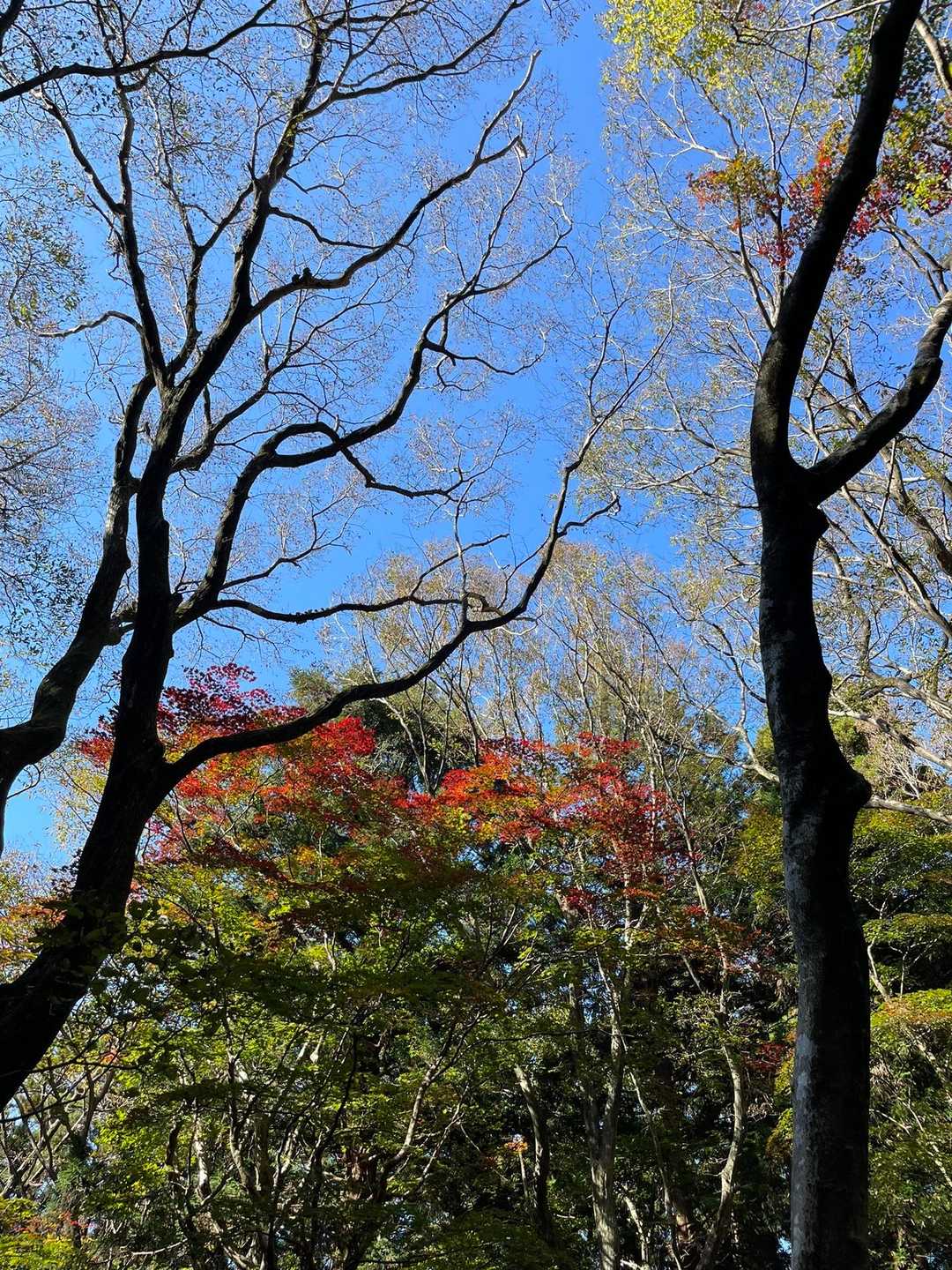 雷山観音前バス停-雷山 往復コースの写真
