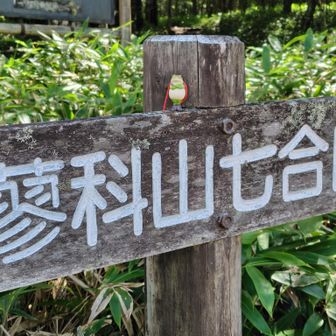 午後0時49分・七合目登山口に到着。無事かえる🐸で下山完了。YAMAP終了。お疲れ山でした！
