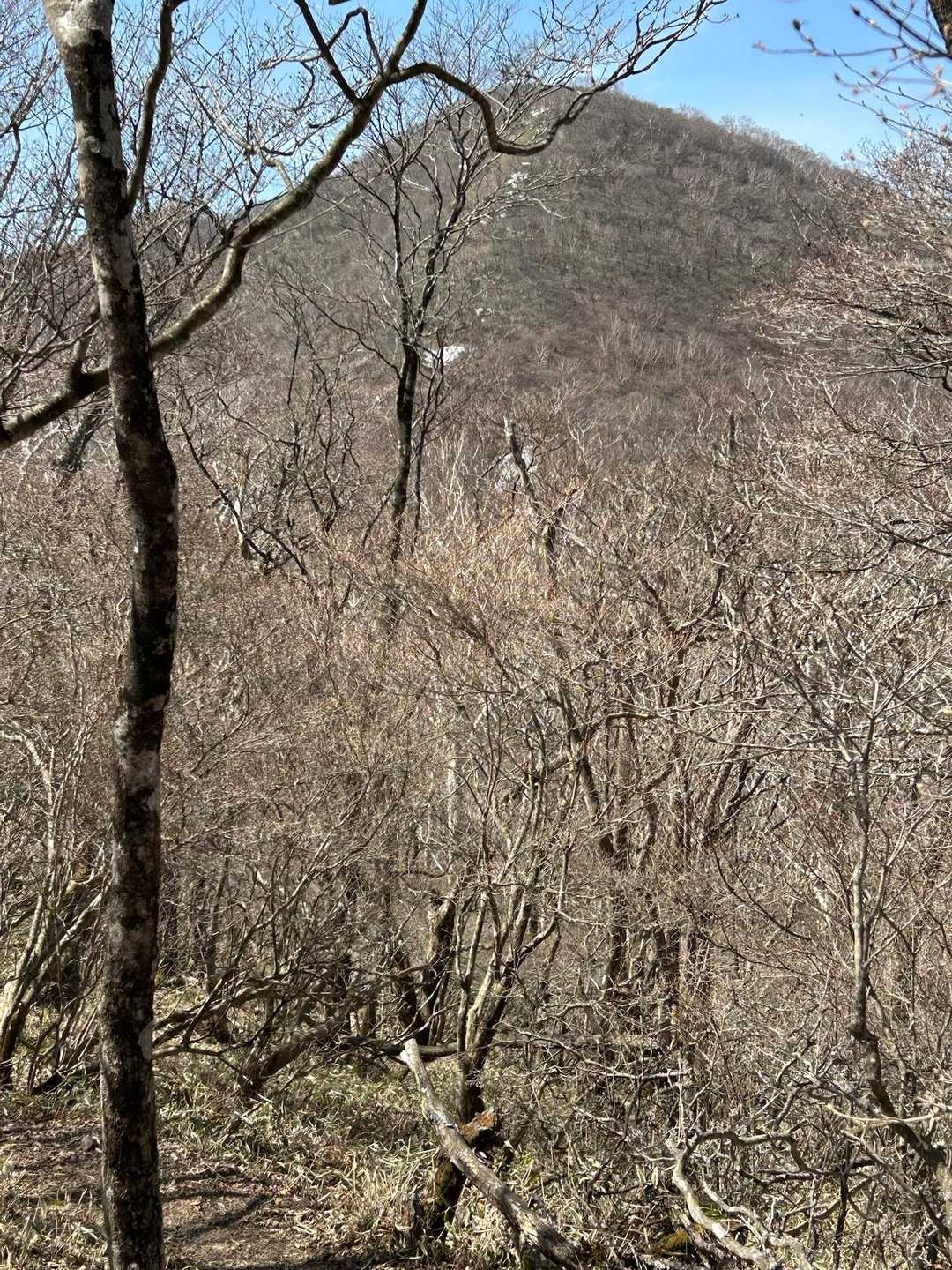 篭山に向かっている　この辺りの春は始まったばかり
小地蔵岳の残雪が見える