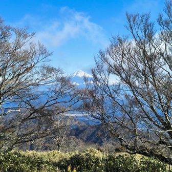 富士山眺望はさっきの所の方が良さそうです笑