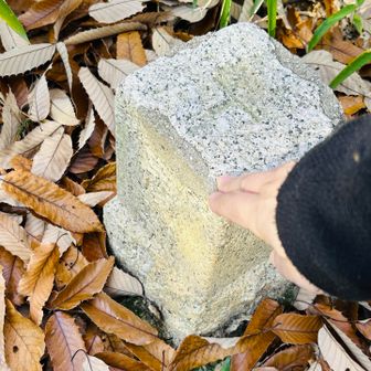 山頂には三角点のみ。