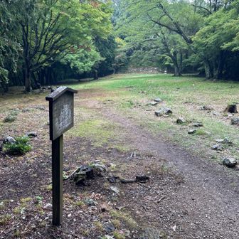 大広間　立派な屋敷があったらしい