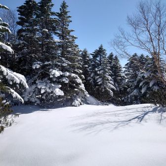 ここまで誰とも会っていないので、もちろんトレースもなし、もう少し楽をしたいところ