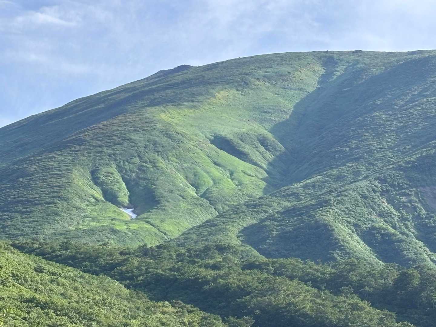 雪もだいぶとけた。