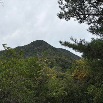 舟見平からの鞍掛山⛰️