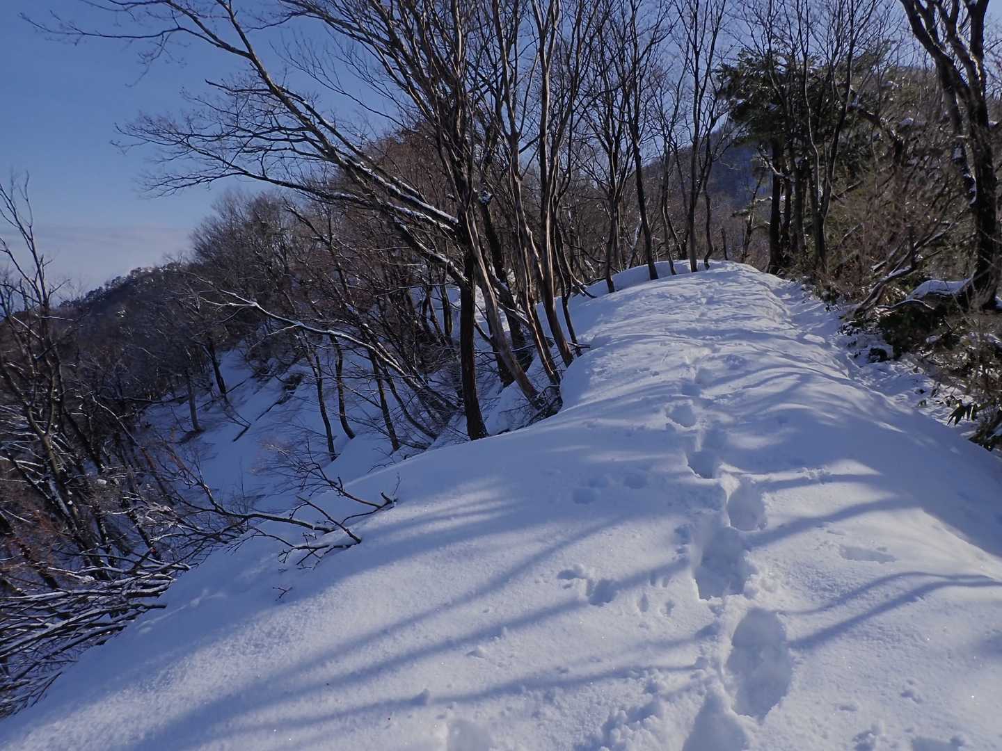 中部北陸自然歩道登山口-南保富士-二王山 往復コースの写真
