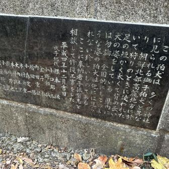 その理由が書いてありました。そうだったのですね🤗朝鮮半島の高麗地方で狩に使われた足の短い胴の長い犬がモデルだと。平成４年の作ですが、220年くらい前に作られた狛犬を、元の形に修復したのだそうです。
でも、なんで高麗(こま)地方なのでしょうか。こまいぬ、って高麗を通って伝わって来た獅子、つまりライオンと思ってましたが、実はこちらの狛犬さんが正当だったりして❓❓そうなの