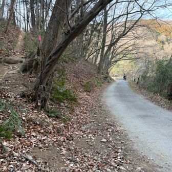 登山道から下りて、舗装道路に出ました。右側は円良田湖（つぶらたこ）が見えます。