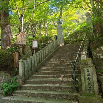 おじゃまします