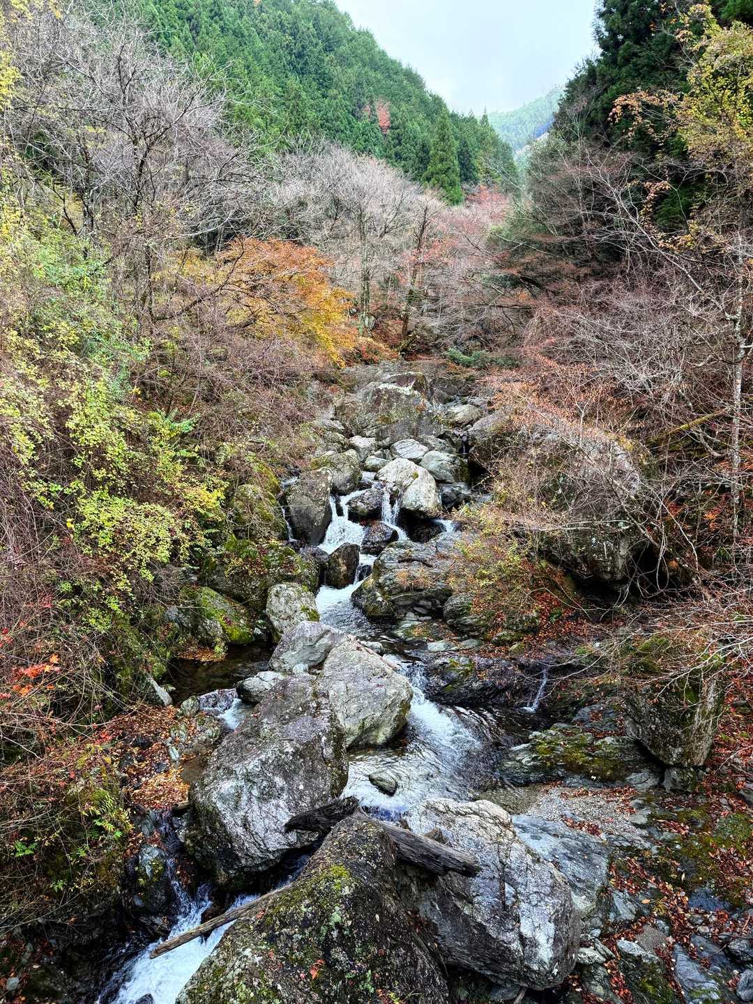 木屋谷雨量観測所-桧塚奥峰登山口-桧塚-桧塚奥峰 往復コースの写真