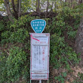 終点？
