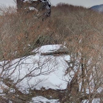 乗ってる岩も結構高い