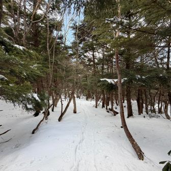 私は休まず歩く🚶この先は凍結が目立ち始めます