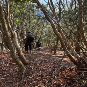 基本的にレールに沿って降りますが、時折外れる所ではかなり不明瞭なところもあり、降りでは特に注意ですね⚠️👀
