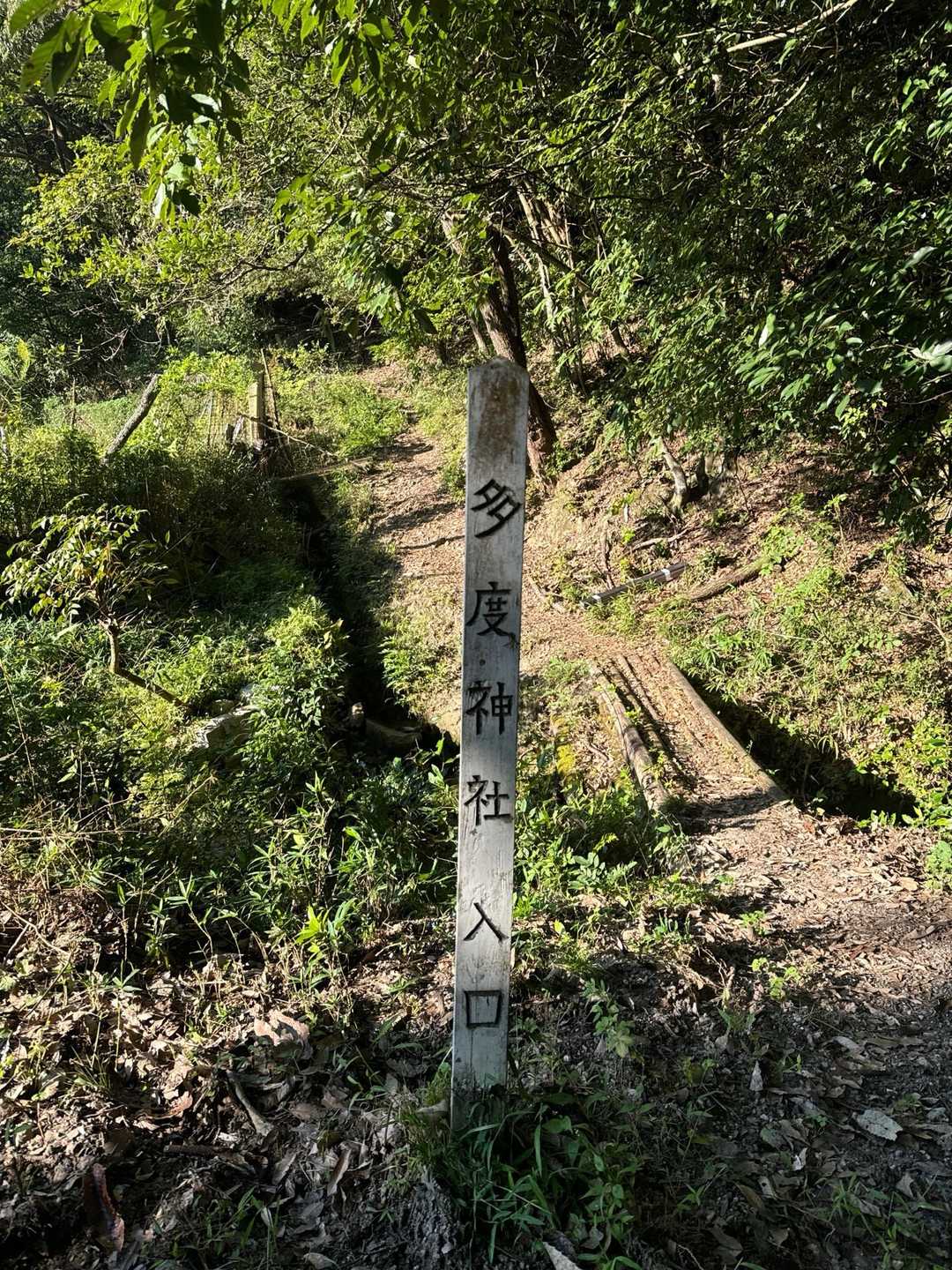 物見山-赤猿峠 周回コースの写真