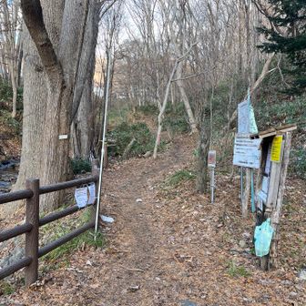 雪解けましたねー☃️