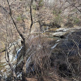 月居側から袋田の滝。木が邪魔で見えない。
