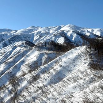 春の陽気😅☀️

今日は仕事日和だ〜🐙❗️
と新潟側から聞こえてきた、、
気がする🤣