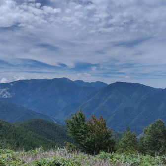 朝霧で見えなかったけど、ｺｲﾉｺからの南ｱﾙﾌﾟｽ‼️