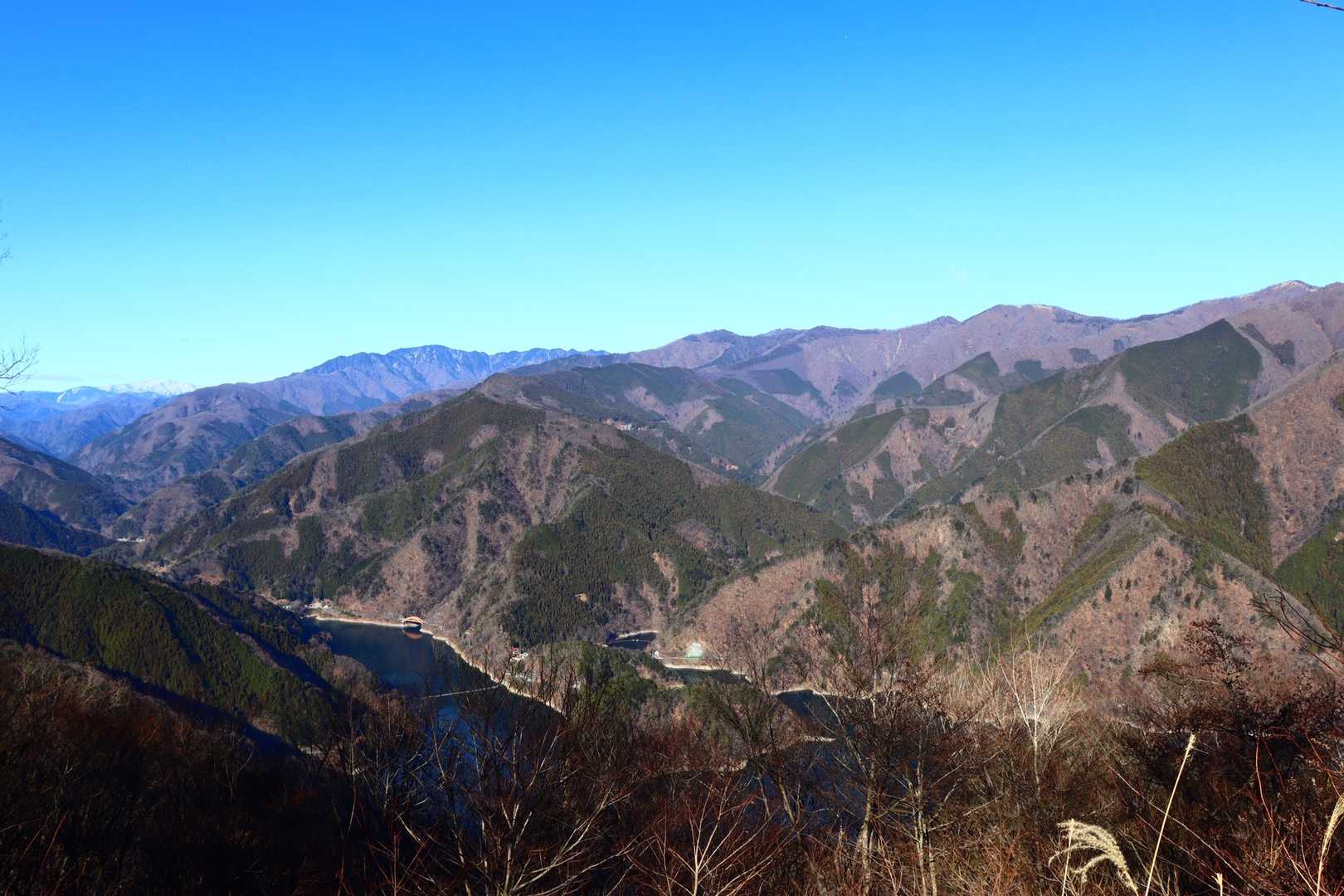 大ムゾ山の写真