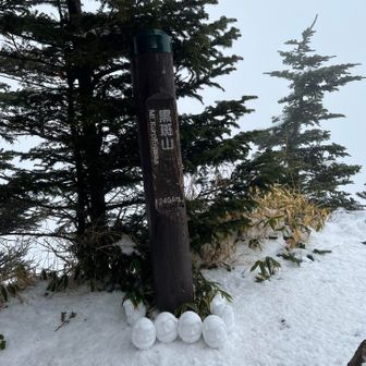 ダルマは初めて見た