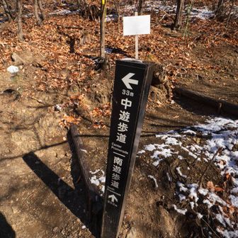 分岐が多いが上を目指せばいいだろう