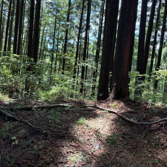左へ行くと…