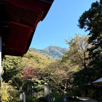 見上げたら筑波山の電波塔が見えてました📡