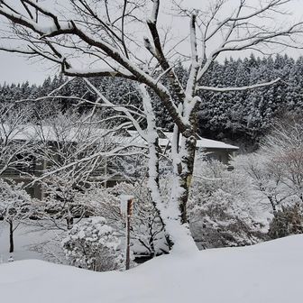 この周辺は先週と比較し積雪量が多く期待してのスタートです🥾