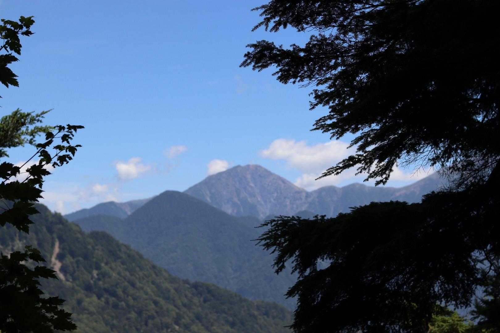 しらびそ峠-前尾高山-尾高山 往復コースの写真
