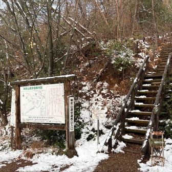 本日西山入口はスルー👋