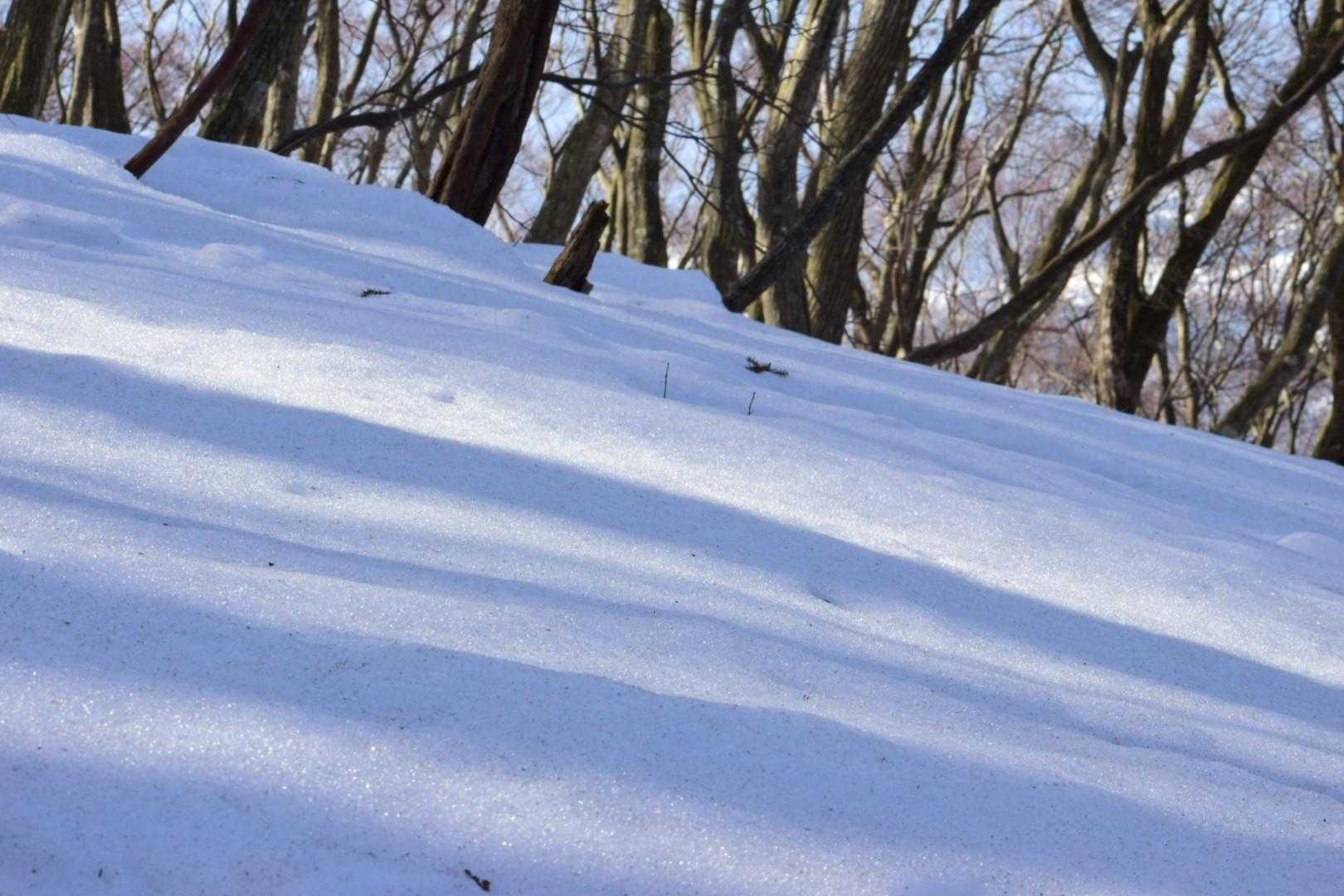 倉見登山口-三十三間山 往復コースの写真