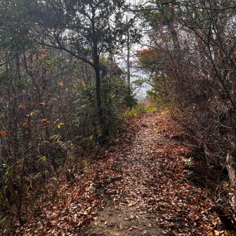 41　南大谷山　264.3m
No.23