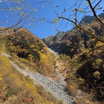 沢だらけ
