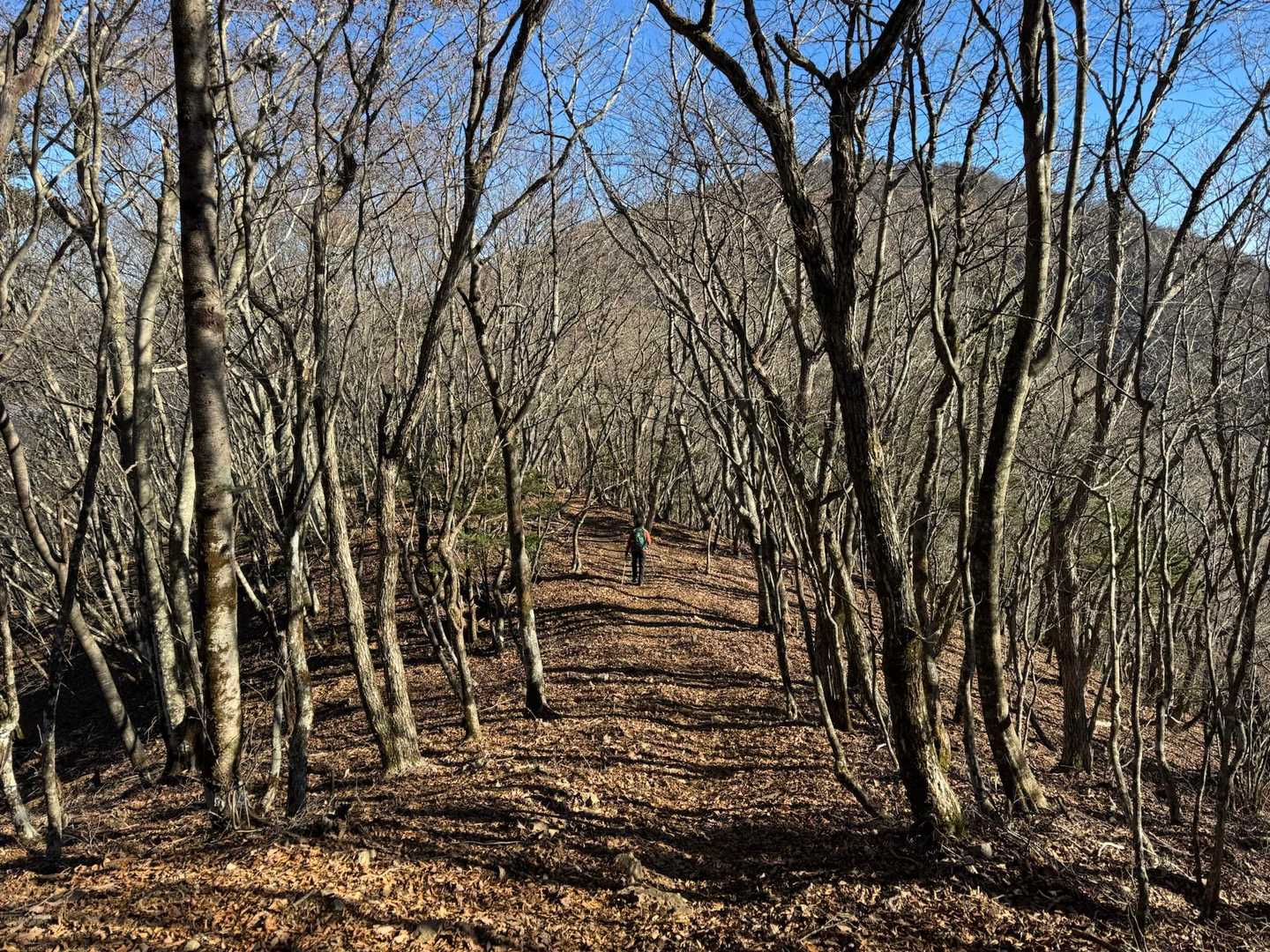 破風山からすずらん峠までは雰囲気の良い緩やかな登山道が続きます。
正面に見えるのが黒岳ですね