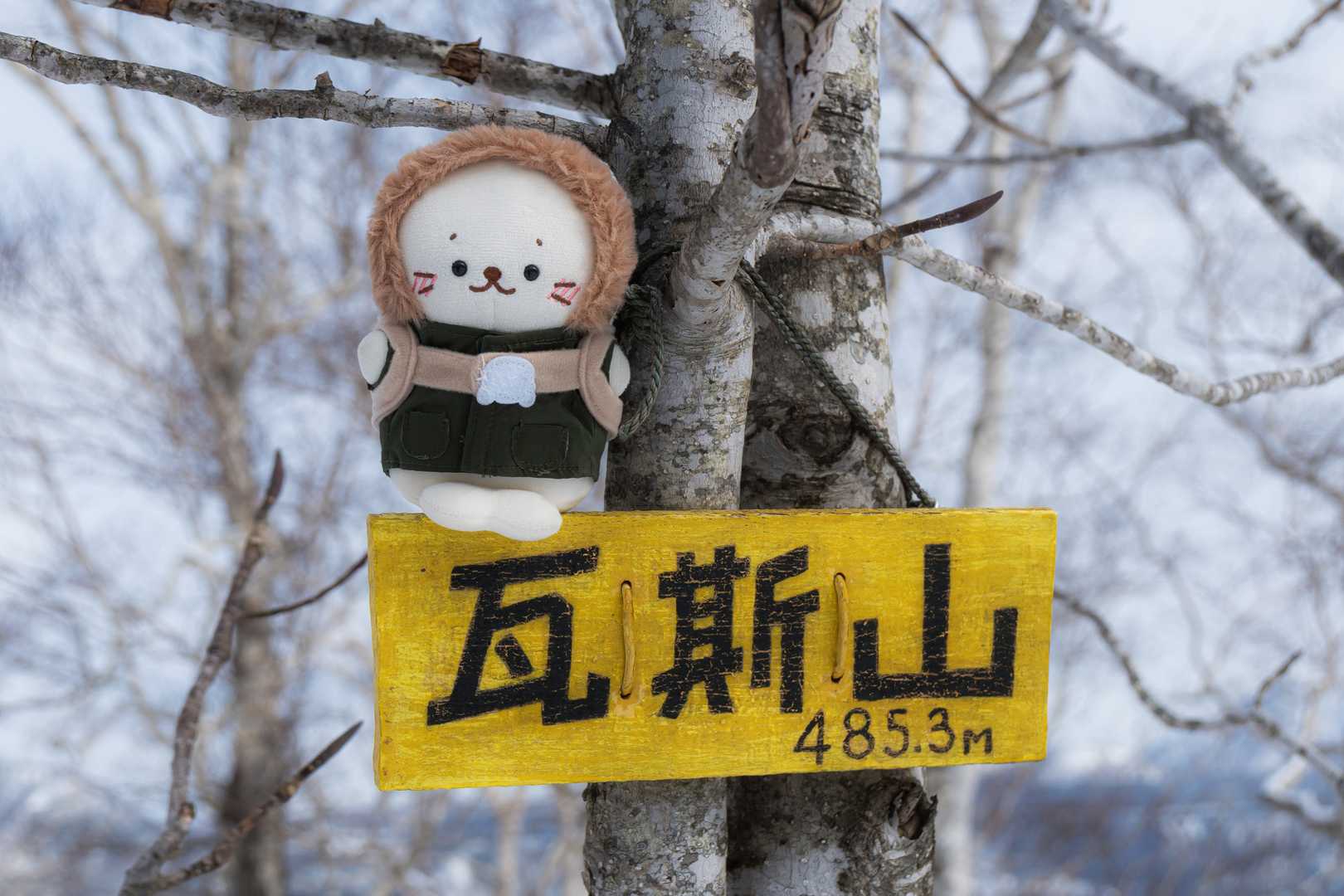 無事にとうちゃこ〜‼️
ちょっとだけ急登有りで良い汗をかいちゃいました(๑˃̵ᴗ˂̵)