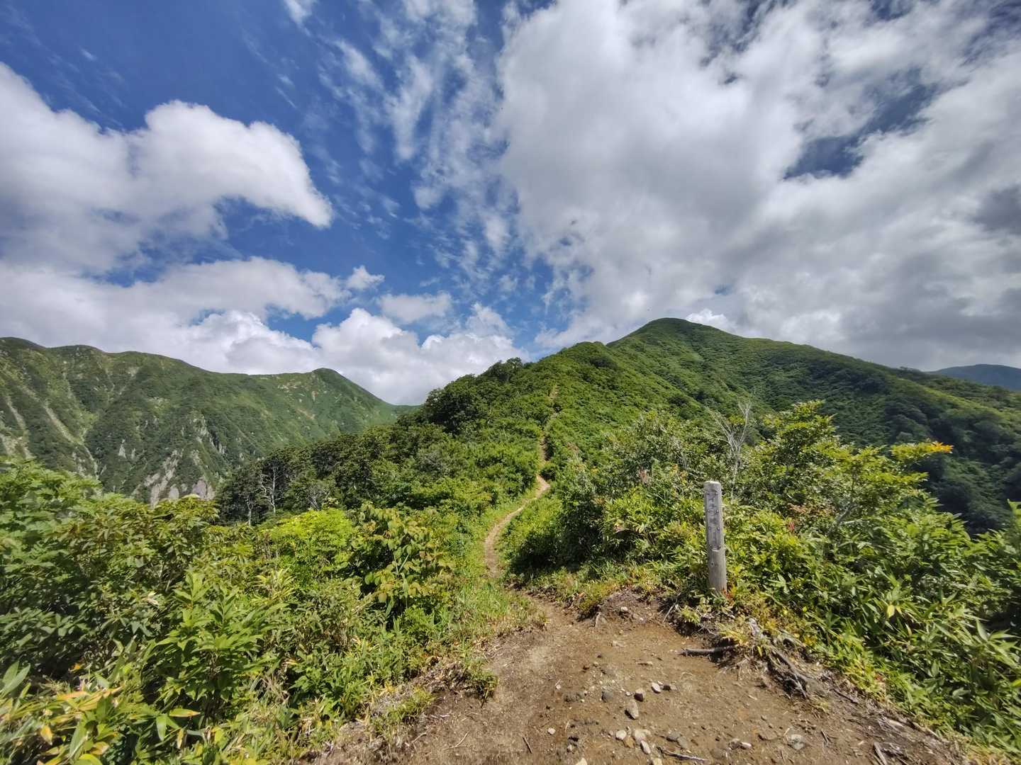 振り返って「大石山」
この気温で登るのは辛そうかも💦
登ってくる人みんな凄い汗でした - ̗̀ 🚨 ̖́-