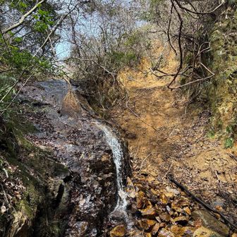 六甲山・長峰山・摩耶山 滝の横の黄色い土の斜面を登る。
ザレてて滑って全然進まない